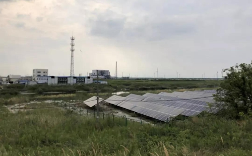 江蘇海安市違規(guī)撤銷沿海防護(hù)林和灘涂縣級(jí)自然保護(hù)區(qū)實(shí)施開(kāi)發(fā)建設(shè)
